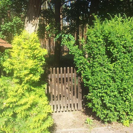 Biggis Waldpension Michendorf Esterno foto
