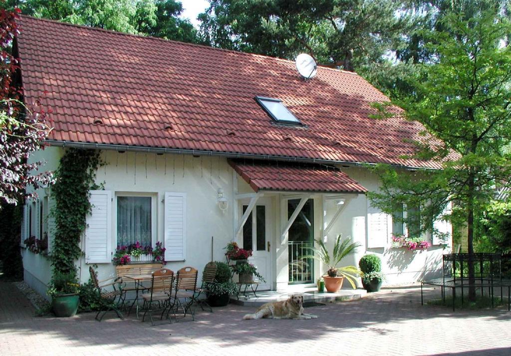 Biggis Waldpension Michendorf Esterno foto
