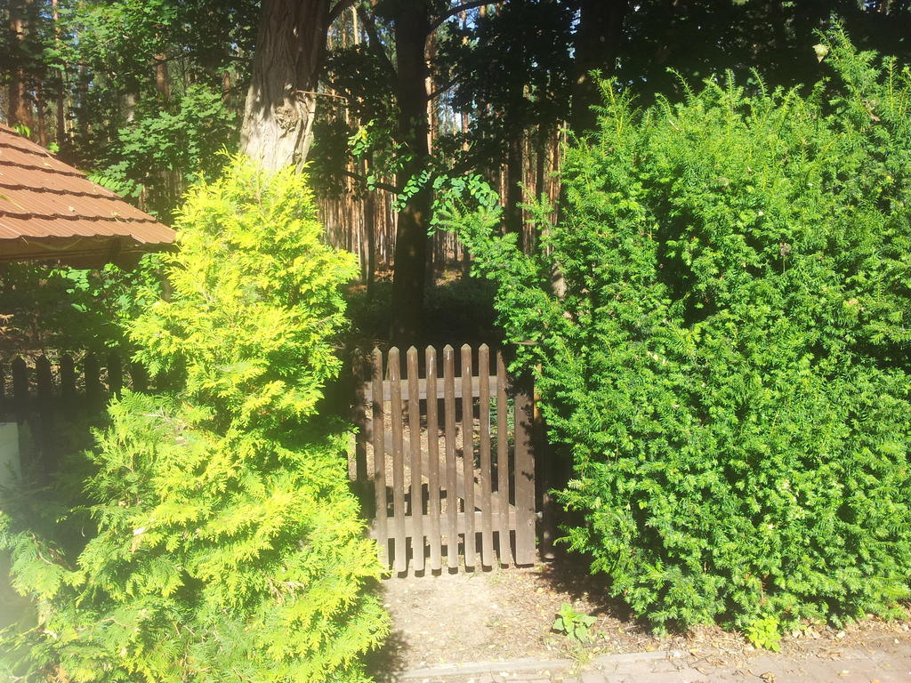 Biggis Waldpension Michendorf Esterno foto